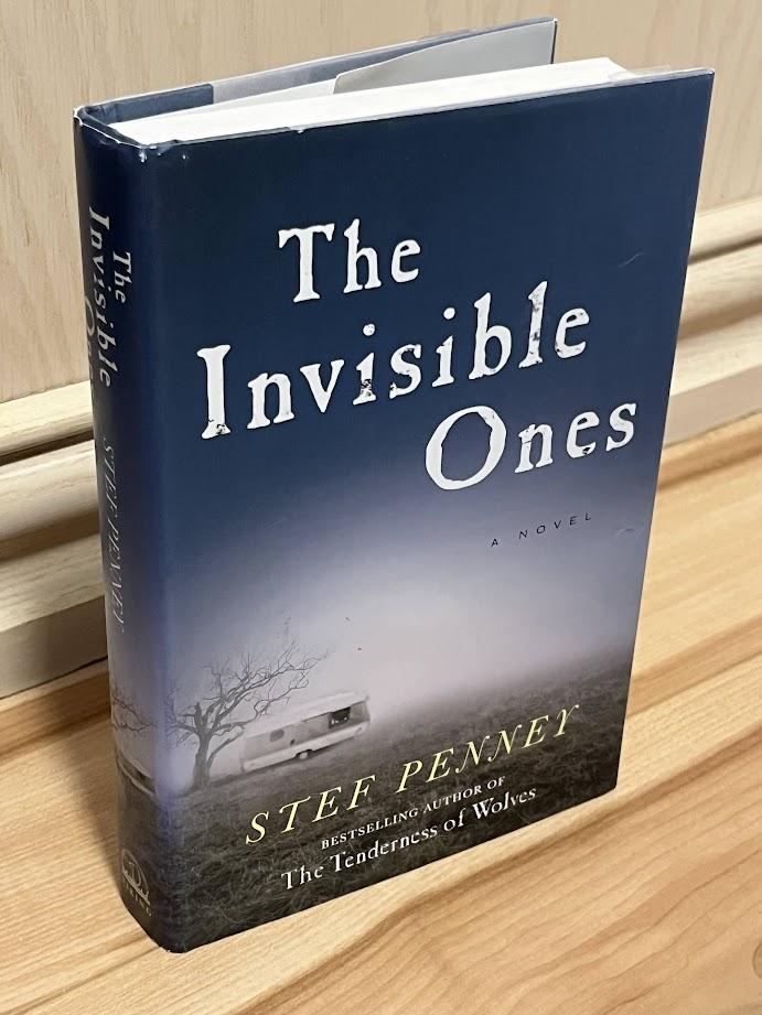 The Invisible Ones by Stef Penney