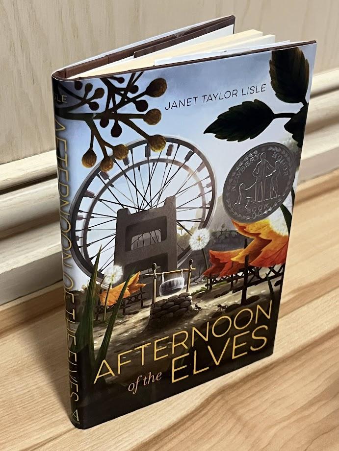 Afternoon of the Elves by Janet Taylor Lisle