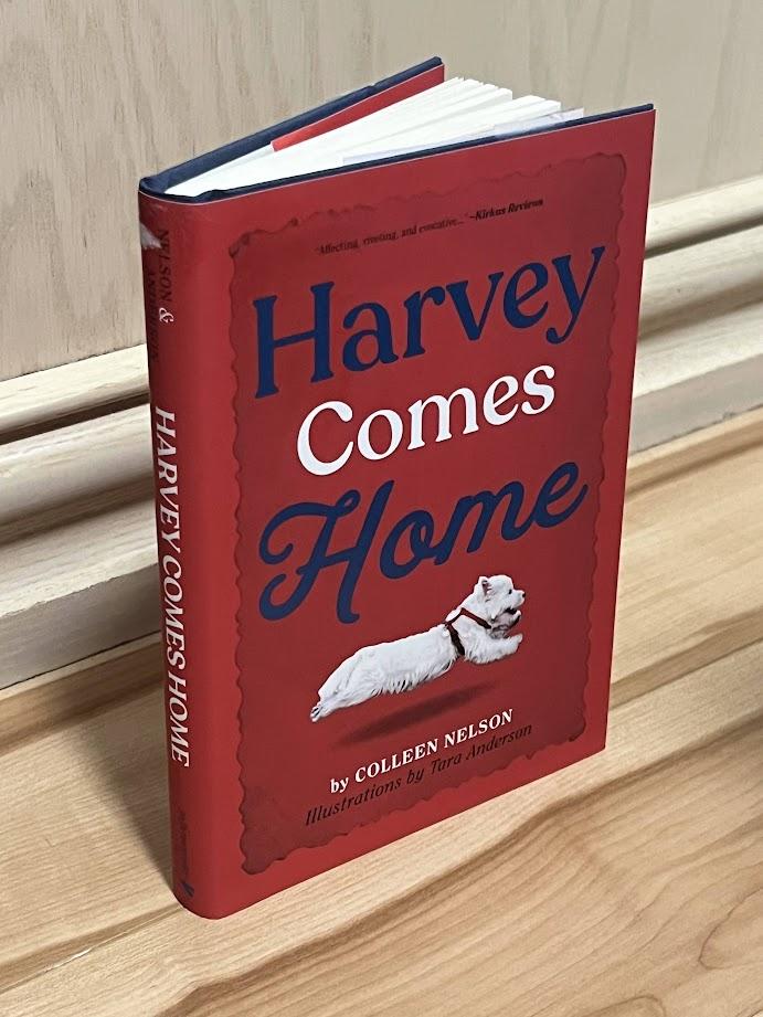 Harvey Comes Home (The Harvey Stories Book 1) by Colleen Nelson