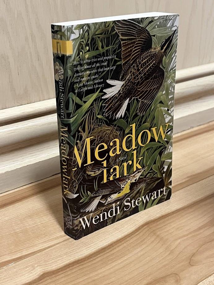 Meadowlark (Nunatak First Fiction No. 41) by Wendi Stewart