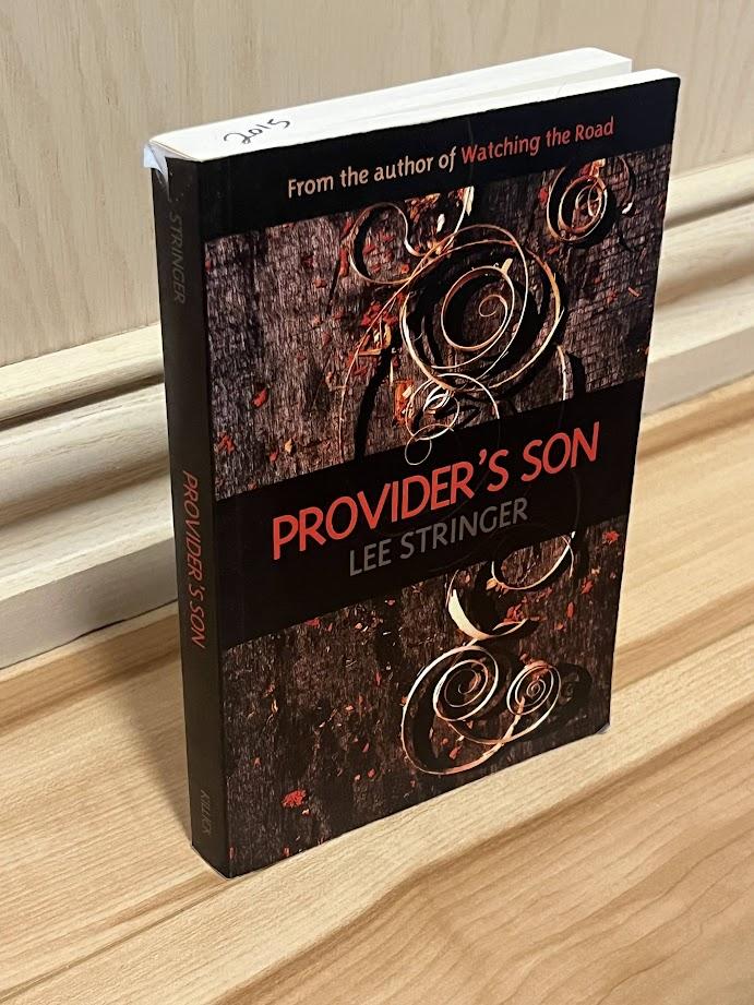 Provider's Son by Lee Stringer