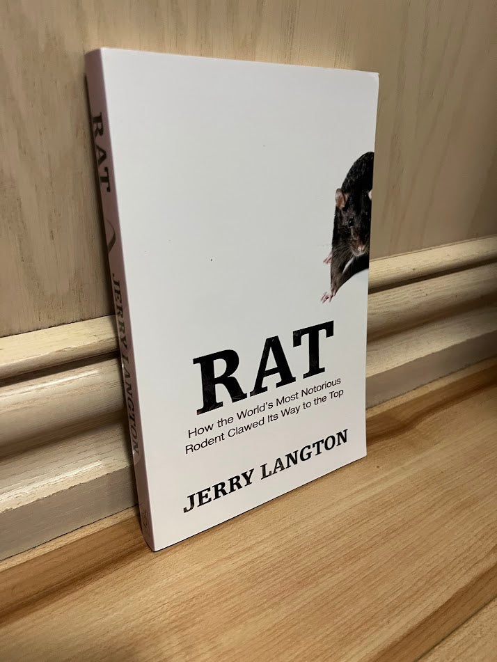 Rat: How the World's Most Notorious Rodent Clawed its Way to the Top by Jerry Langton