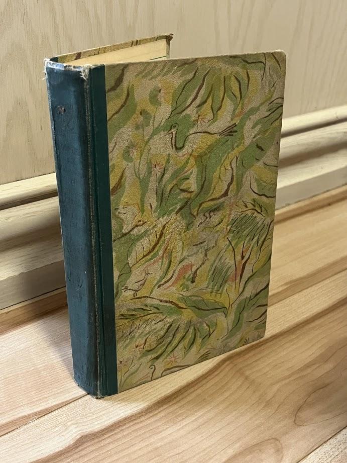 The Life and Adventures of Robinson Crusoe by Daniel Defoe