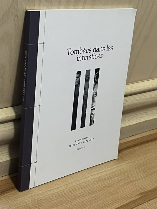 Tombees dans les interstices Un regard actuel sur l'apport de quelques femmes artistes a l'Acadie contemporaine by Elise Anne Laplante