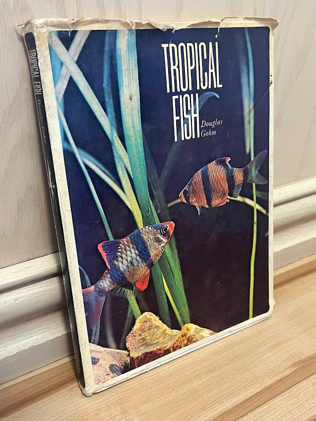 Tropical Fish by Douglas Gohm